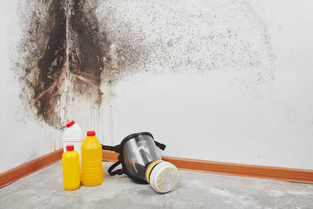 Best Emergency Mold Removal  in Silver Lake, KS