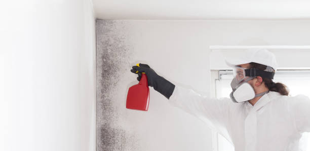 Best Commercial Mold Removal  in Silver Lake, KS