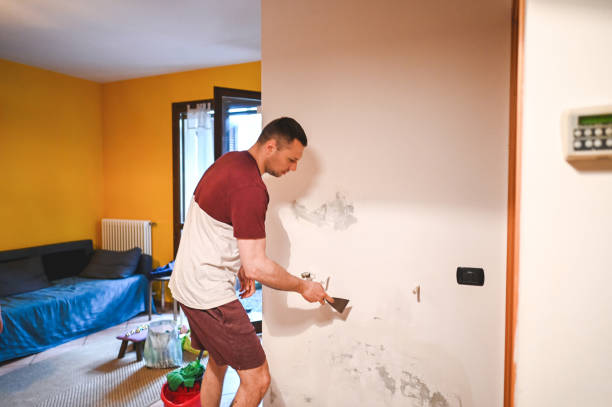 Best Black Mold Removal  in Silver Lake, KS