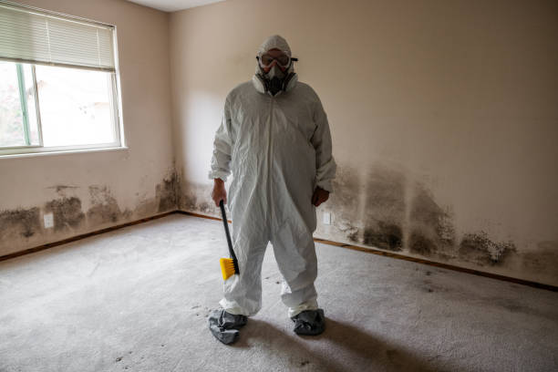 Best Toxic Mold Removal  in Silver Lake, KS